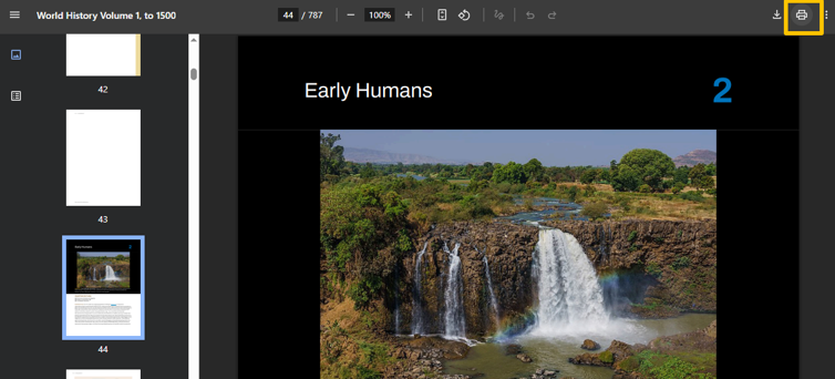 Convert PDF Color to Black and White in a Browser 1