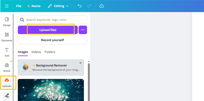 Embed a Video in a PDF with Canva 1