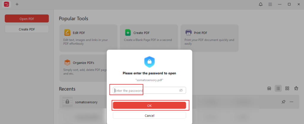 Enter the open password to view the PDF in JOPDF