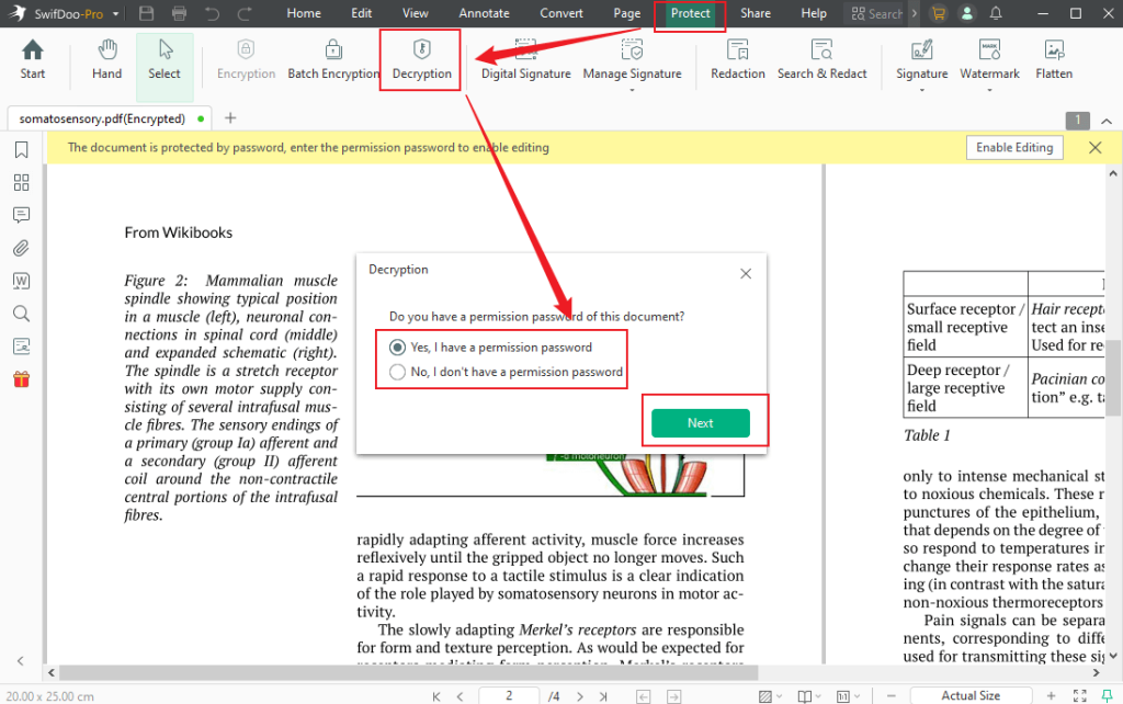 Go to the Protect tab and click the Decryption option to remove restrictions with or without a password in SwifDoo PDF