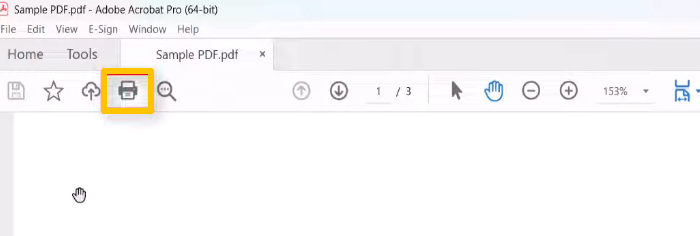 How to Print a PDF Front and Back with Adobe Acrobat 1