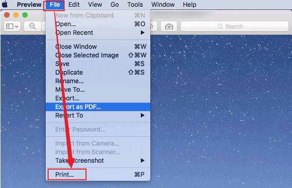 Click the File tab and select the Print option in Preview