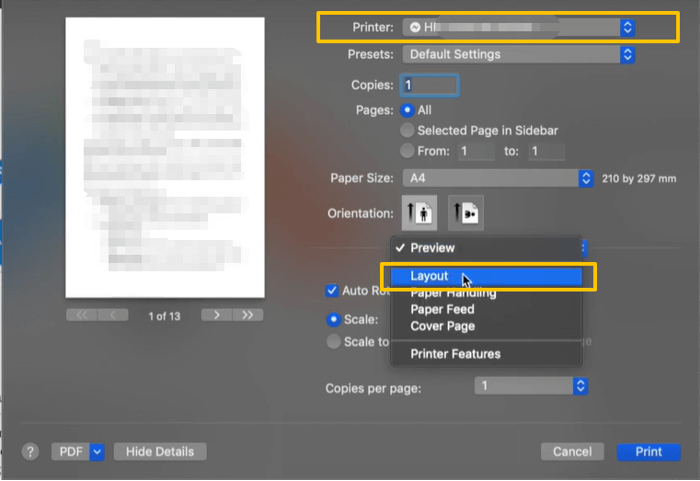 Print Two Pages on One Sheet on PDF in Preview 1