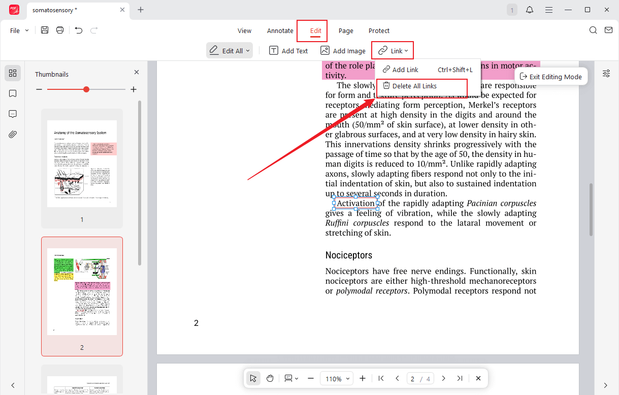 Go to Edit and select the Delete All Links option from the Link list in JOPDF