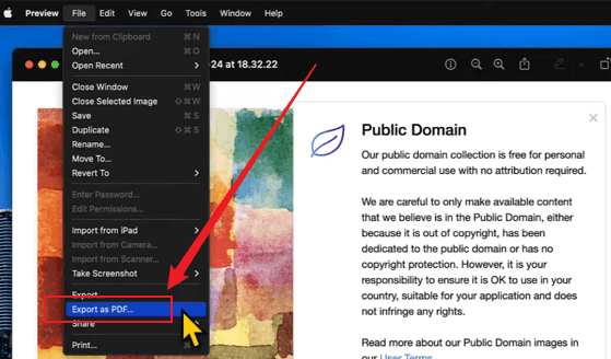 Click File and select the Export as PDF option in Preview