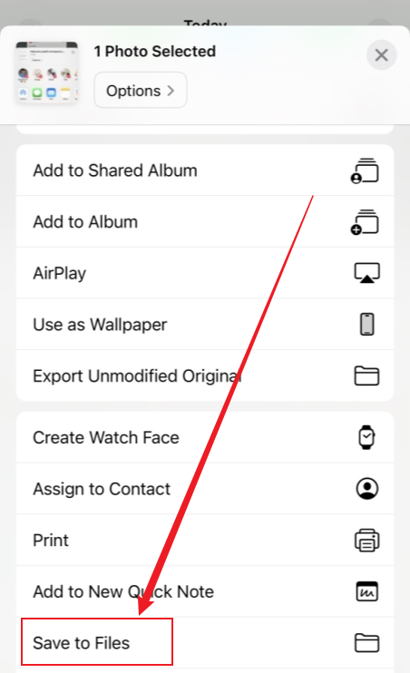 Select the Save to Files option