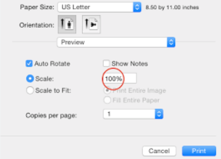 Set Scale to 100% in Preview