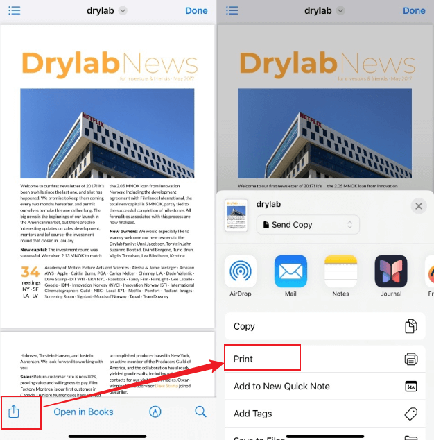 Click the Share icon and select the Print option in the Files app
