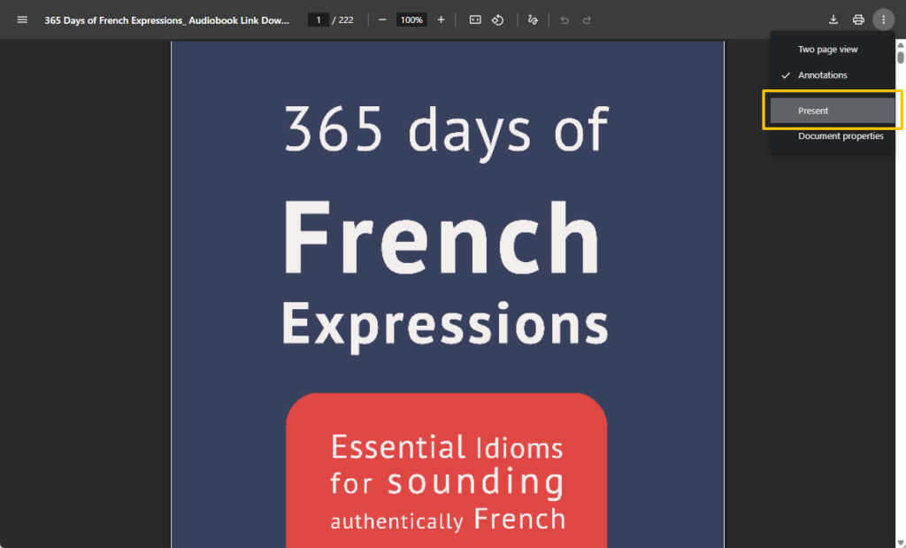 PDF Full Screen in Browser