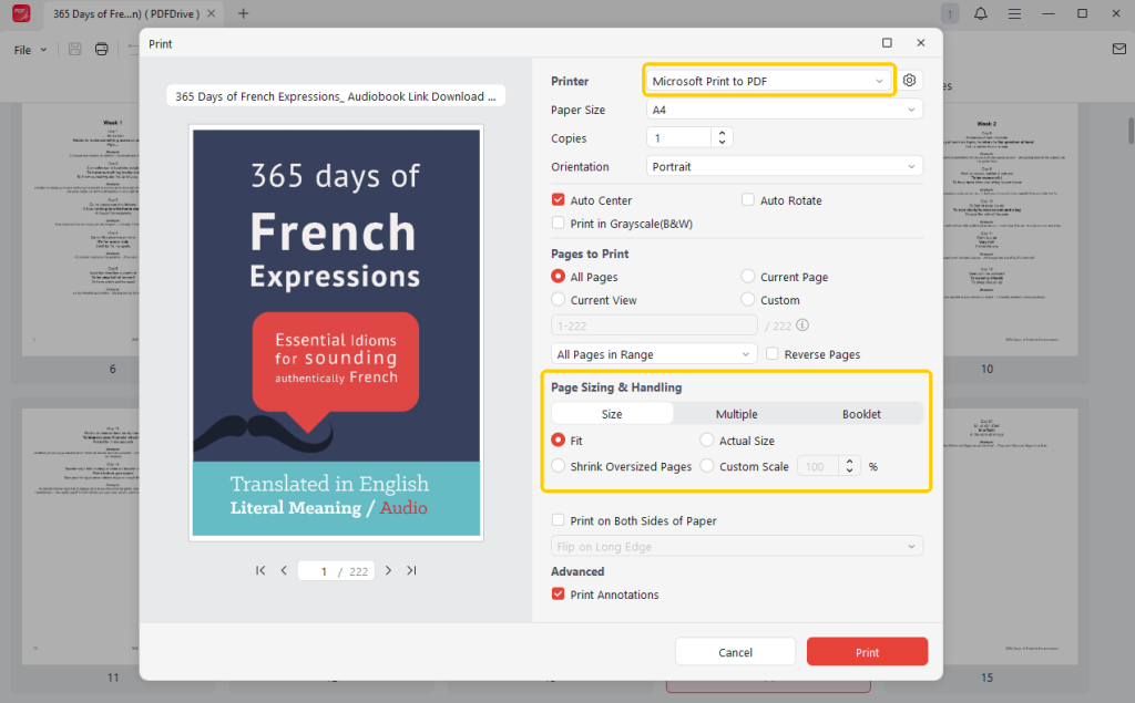 Print Adjust Page Size