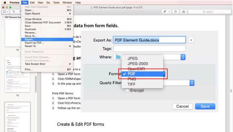 Preview Export as PDF