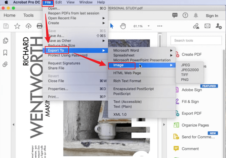 Click File and choose Image from the Export To option in Adobe Acrobat