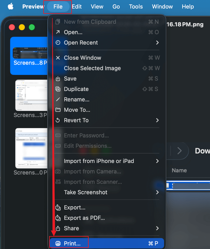 Click File and select the Print option in Preview