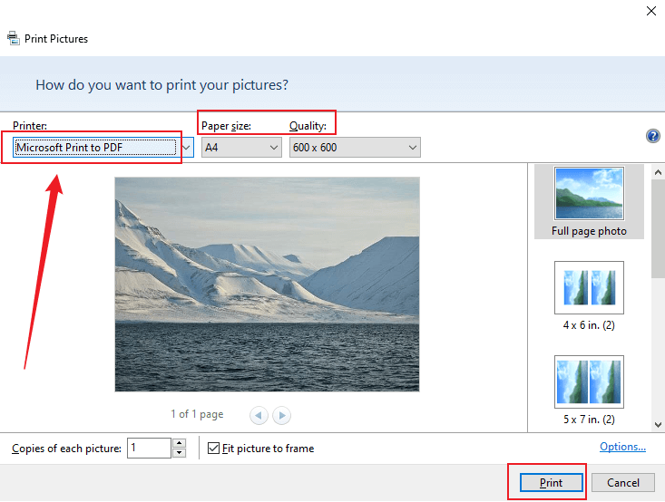 Set Microsoft Print to PDF as the Printer and click Print