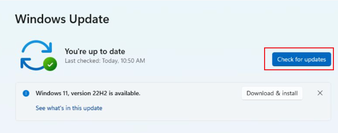 Click the Check for Updates button in Windows 11 settings