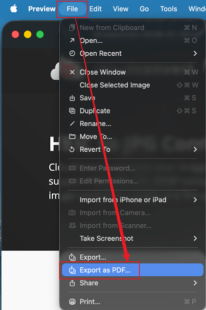 Click File and select the Export as PDF option in Preview