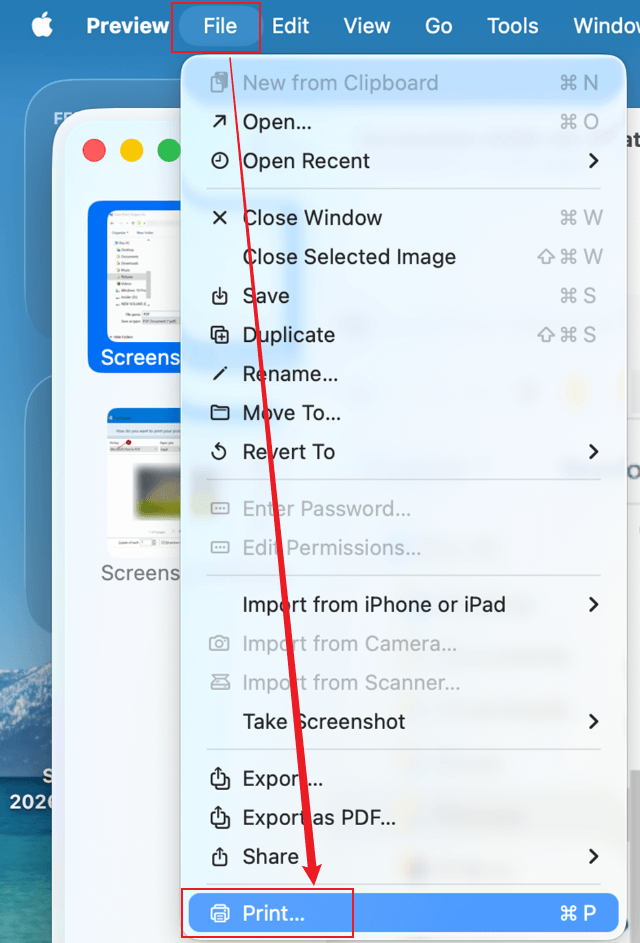 Click the File tab and click Print