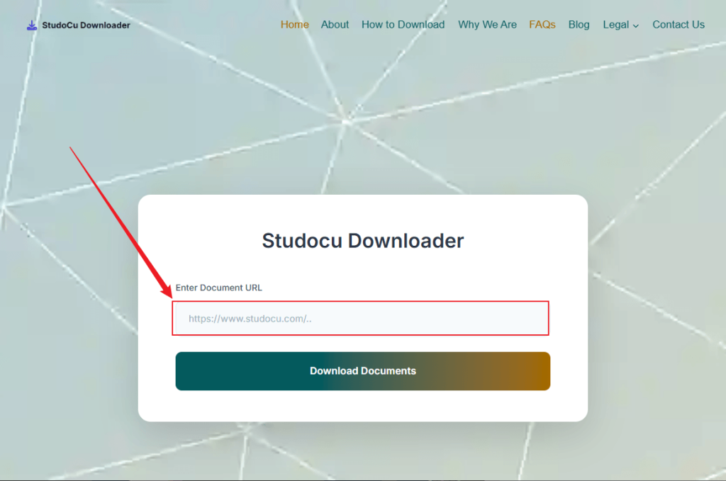 Paste the copied Studocu document link into Studocu Downloader