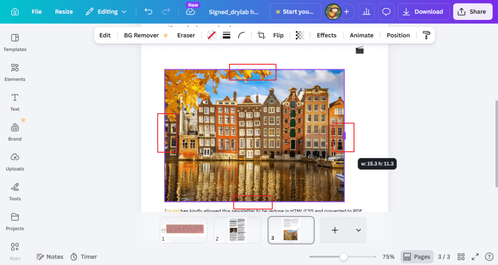 Crop the image in the PDF using Canva
