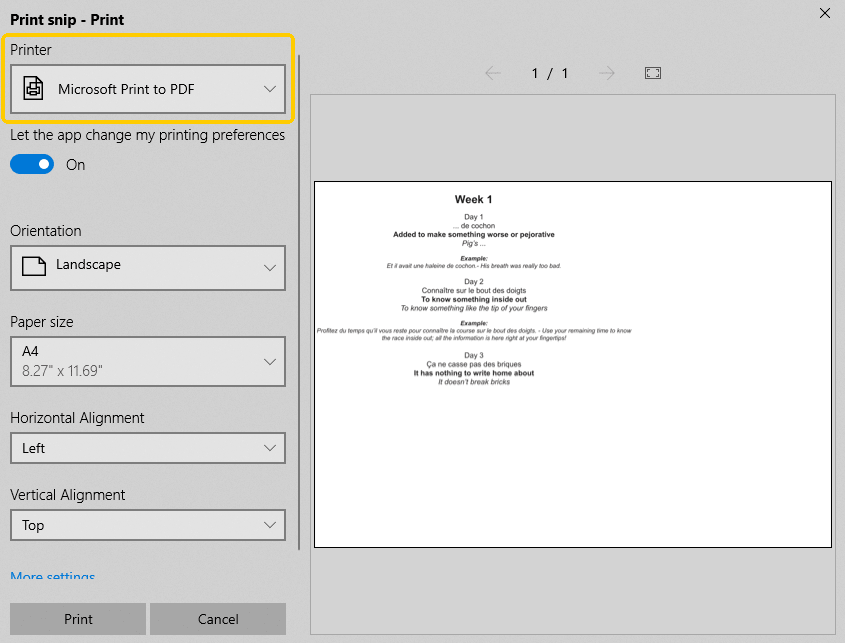Export as PDF