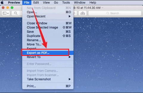 Click Export as PDF from the File list in Preview
