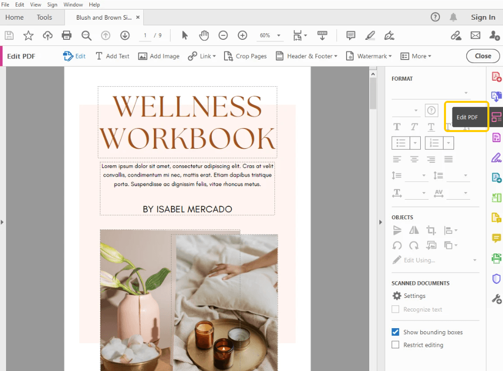 Acrobat Edit PDF