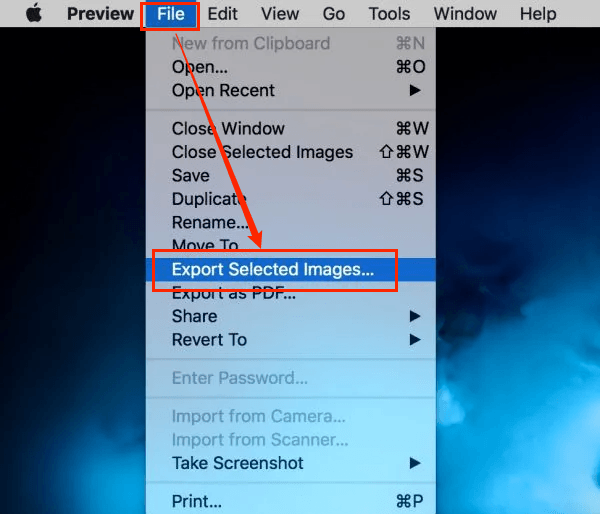 Select the Export Selected Images option to convert each JPG to a PDF in Preview