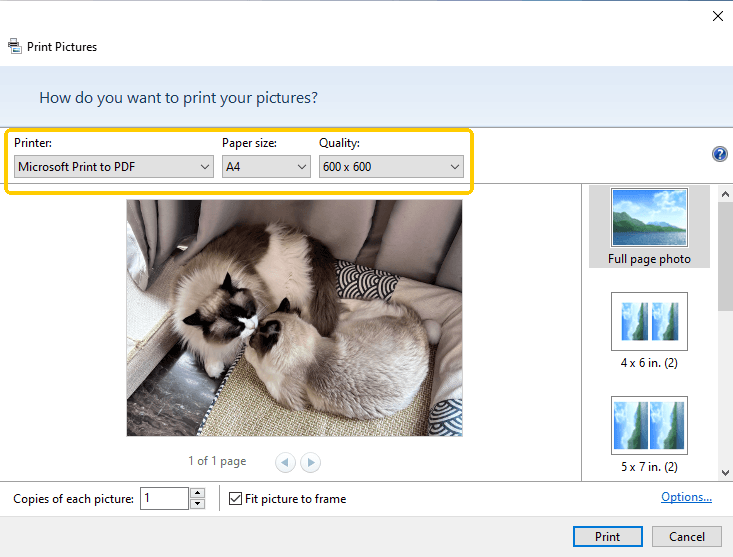 Microsoft Print to PDF
