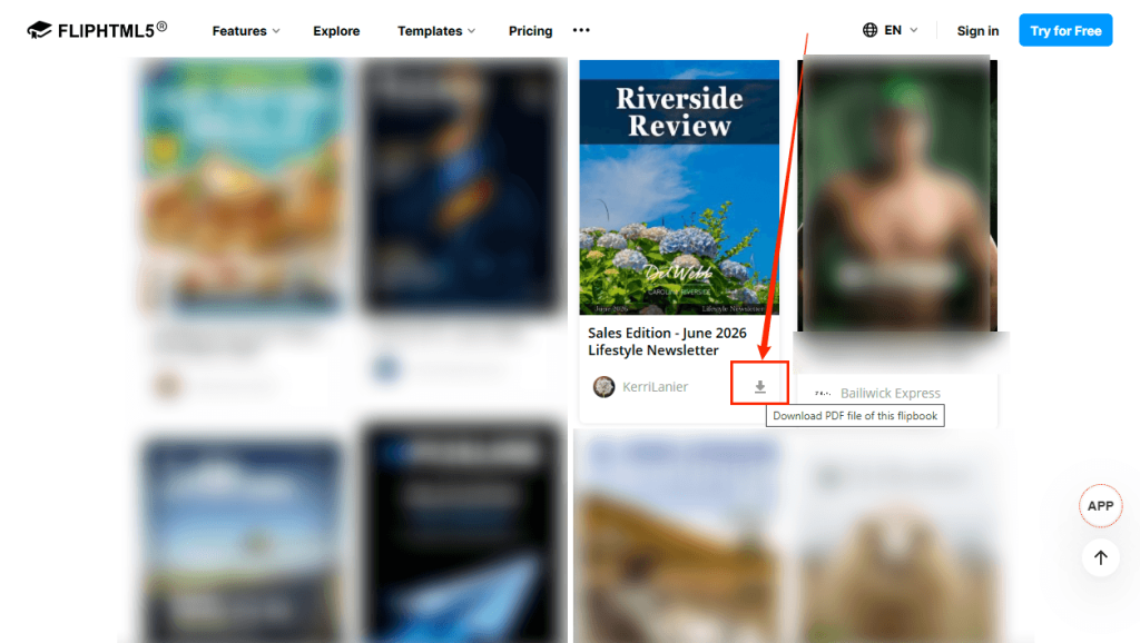 Download FlipHTML5 flipbook as a PDF