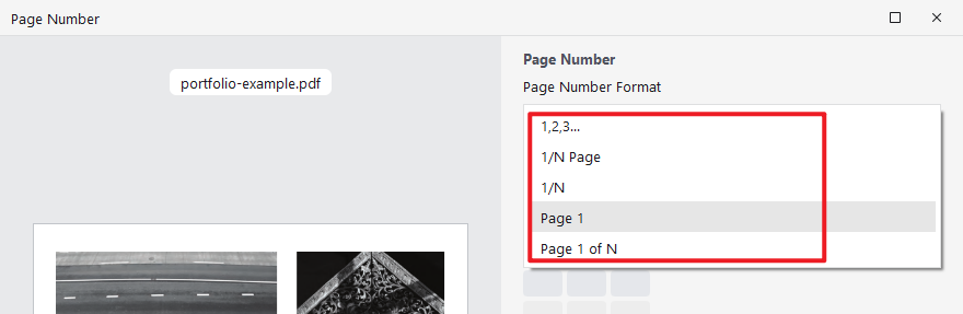 Select the desired page number format in JOPDF