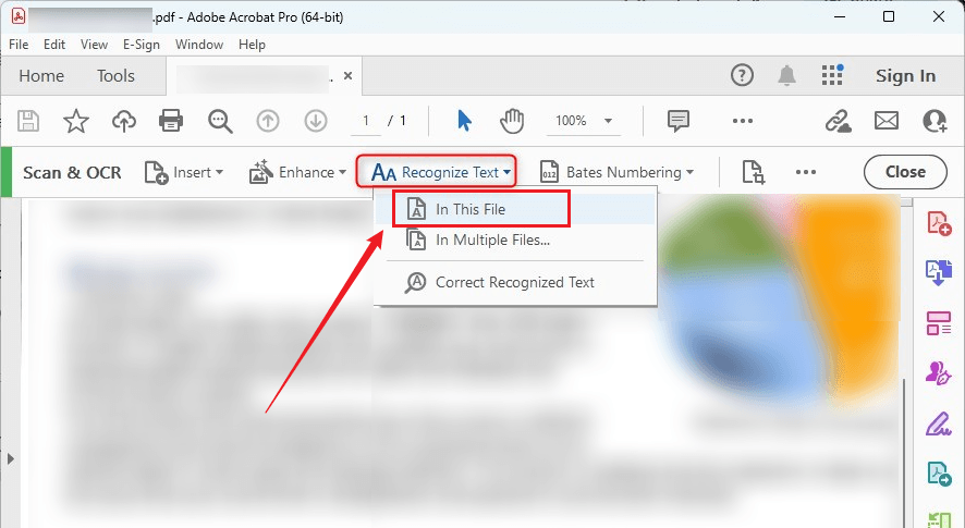 Click the In This File option under Recognize Text in Adobe Acrobat Pro