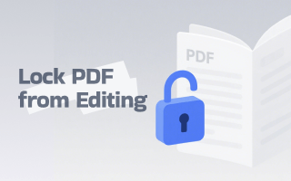 How to Lock a PDF from Editing with/Without a Password