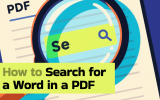 Complete Guide on How to Search for a Word in a PDF | 6 Ways