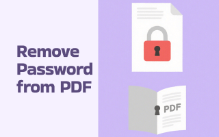 How to Remove Password from PDF – The Complete 2025 Guide