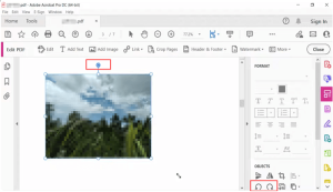 3 Quick Ways to Rotate an Image in a PDF [Two for Free]