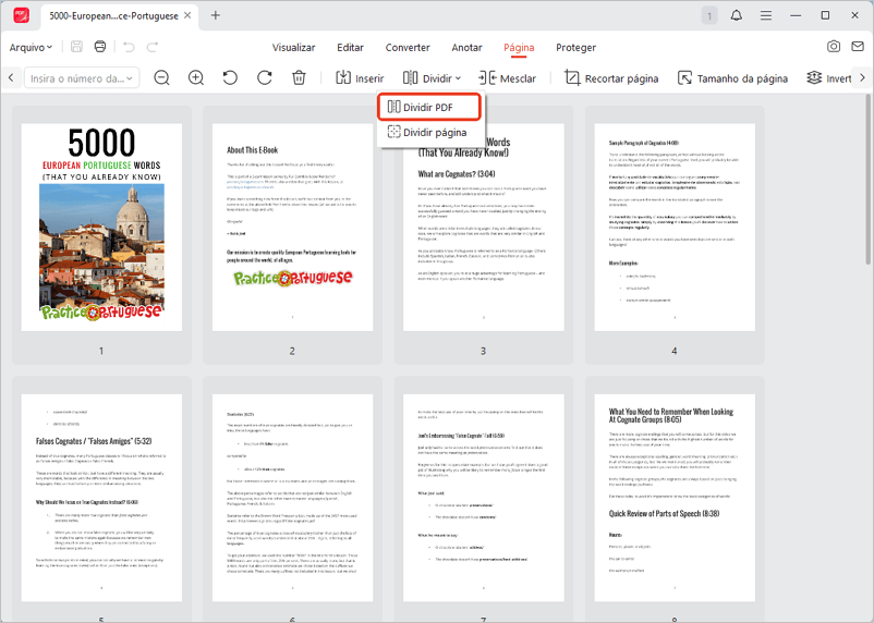 Dividir PDF com JOPDF