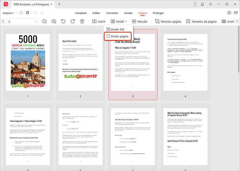 Dividir páginas de PDF no JOPDF