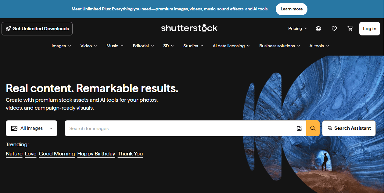 Shutterstock interface