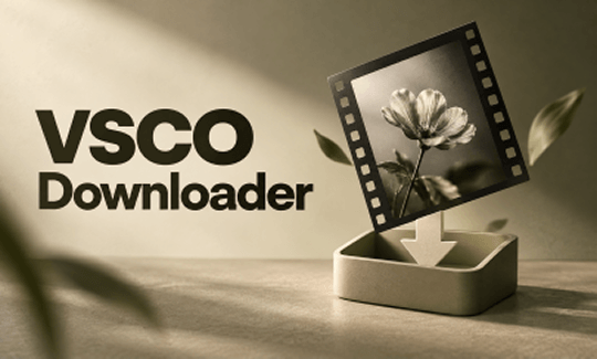 VSCO Downloader – Download VSCO Photos & Images HD Online